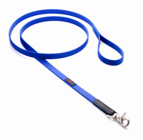 Boss Regular Leash (Color: Blue, size: 5/8" x 6')